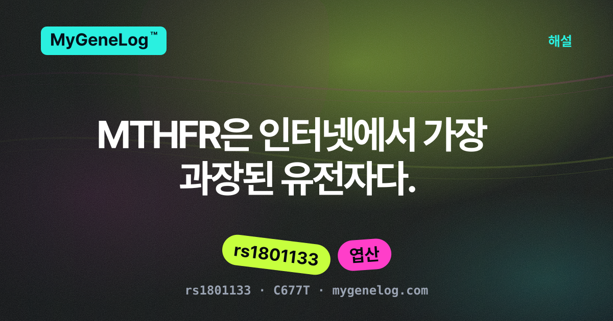 MTHFR 바로 알기: rs1801133이 실제로 뜻하는 것