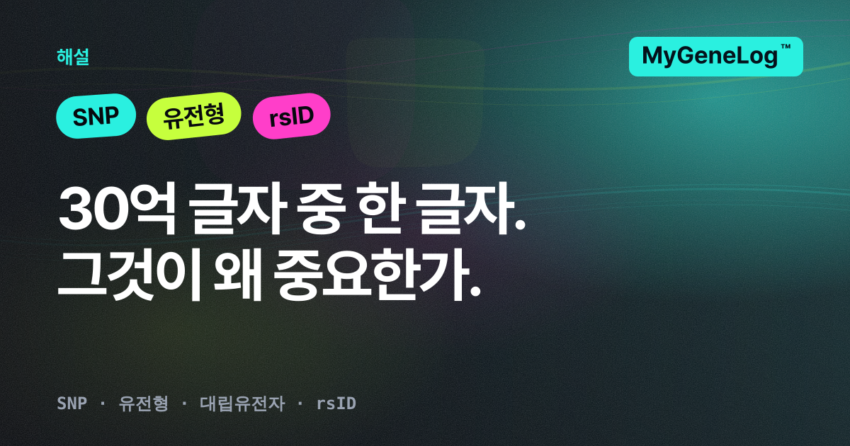 SNP란 무엇인가: 쉬운 말로 읽는 안내